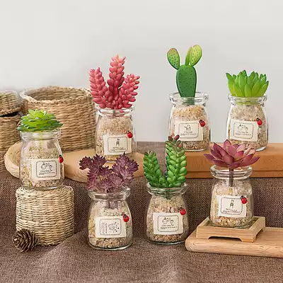 Nordic ins Wind potted green plant indoor living room creative fleshy small bonsai ornaments simulation plant decoration decoration