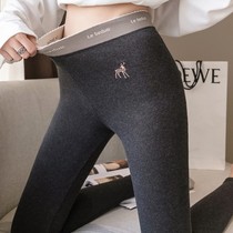 Underpants female wearing spring and autumn high waist tight body elasticity thin black and gray thin winter velvet and thick cotton pants