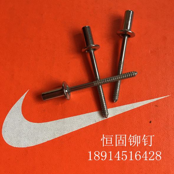 304 stainless steel waterproof closed pull rivets GB12615 4 sealing type 3 2 4 4 8 6 4 complete specifications