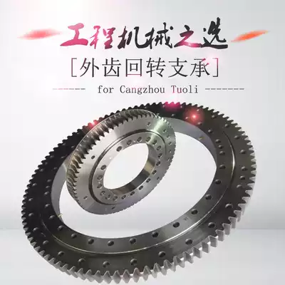 Factory spot direct sales amusement environmental protection equipment outer tooth type slewing ring ring