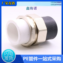 PE to PPR union adapter pe water pipe fittings hot melt union pe copper union iron union