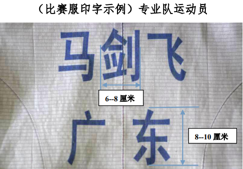 Fencing Suit Flowers Sword Sword Metal Clothes Imprint Character Heavy Sword Back Cloth Stick Conform to Sword Association Standard Font Competition