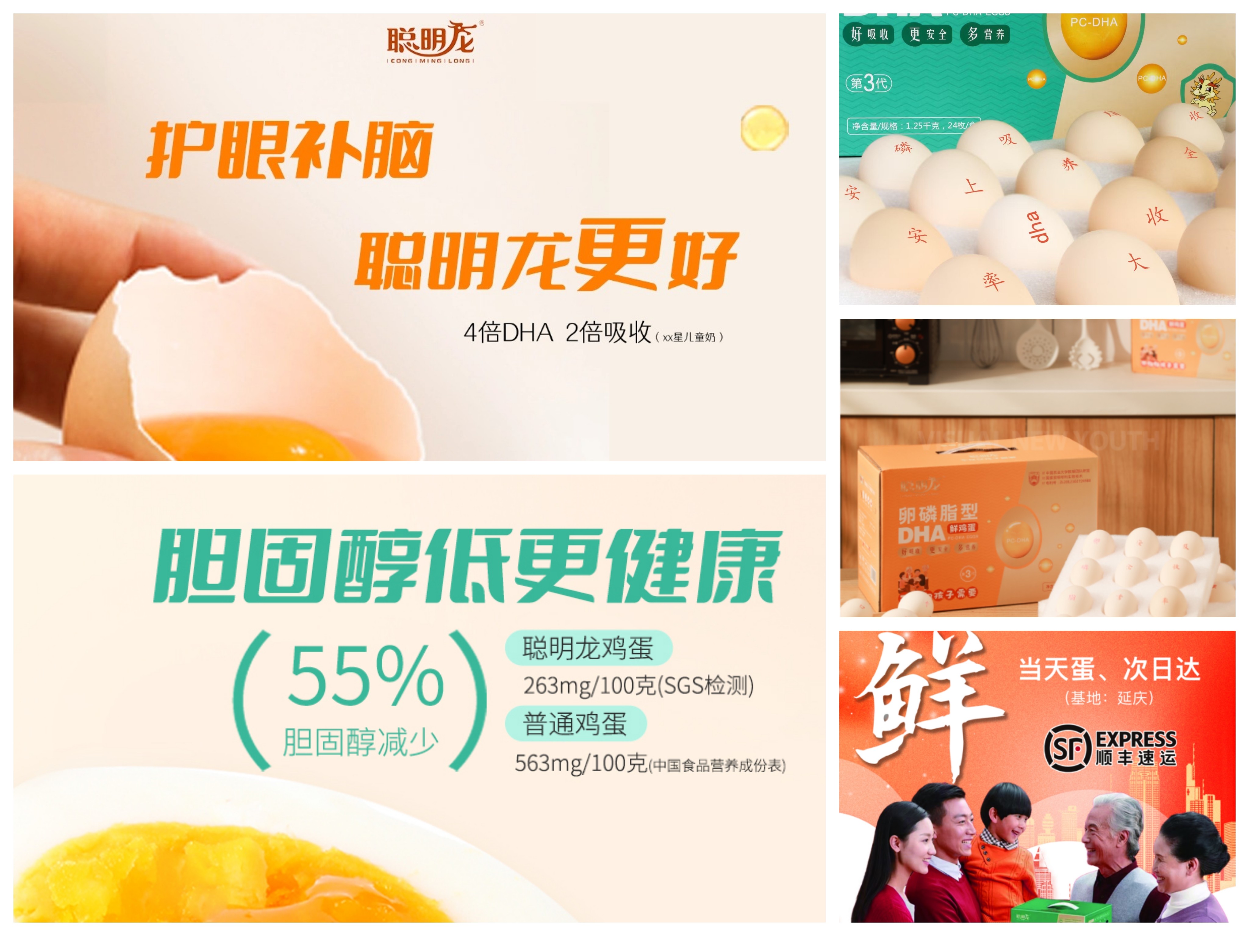 聪明龙鸡蛋DHA企业店