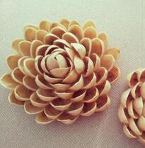 Fruit shell 500g natural pistachio shell shake DIY handmade decorative stickers handicraft materials 3 parts