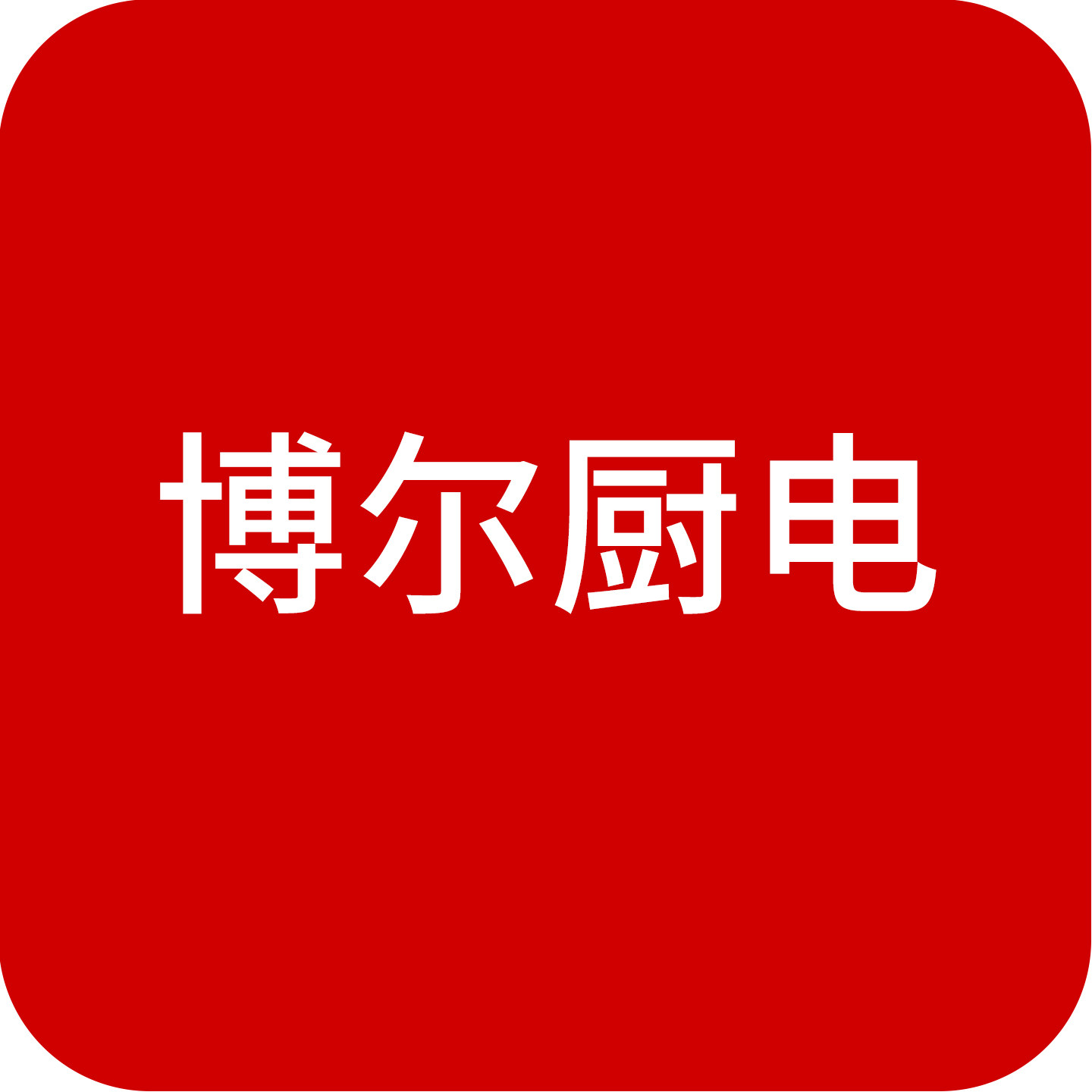 博尔厨电公司