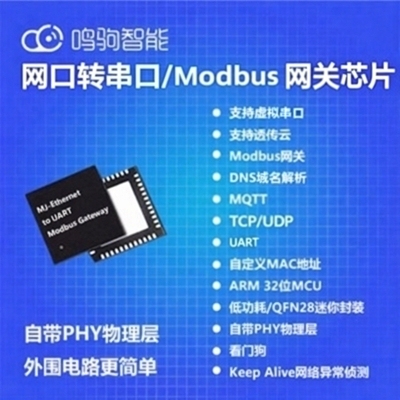 Super Network Port Serial Ttl to Ethernet Transparent Transmission Chip Modbus Gateway Tcp/Rtu/Ascii Mutual Conversion