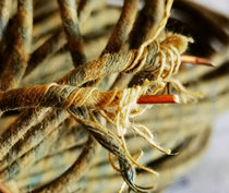 West electric double-layer cotton yarn diameter of about 2mm single branch core diameter of about 1mm each length about 3m