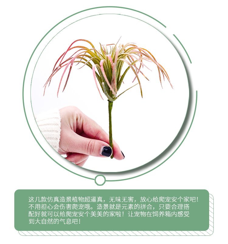 仿真岩石：爬宠的神秘避风港