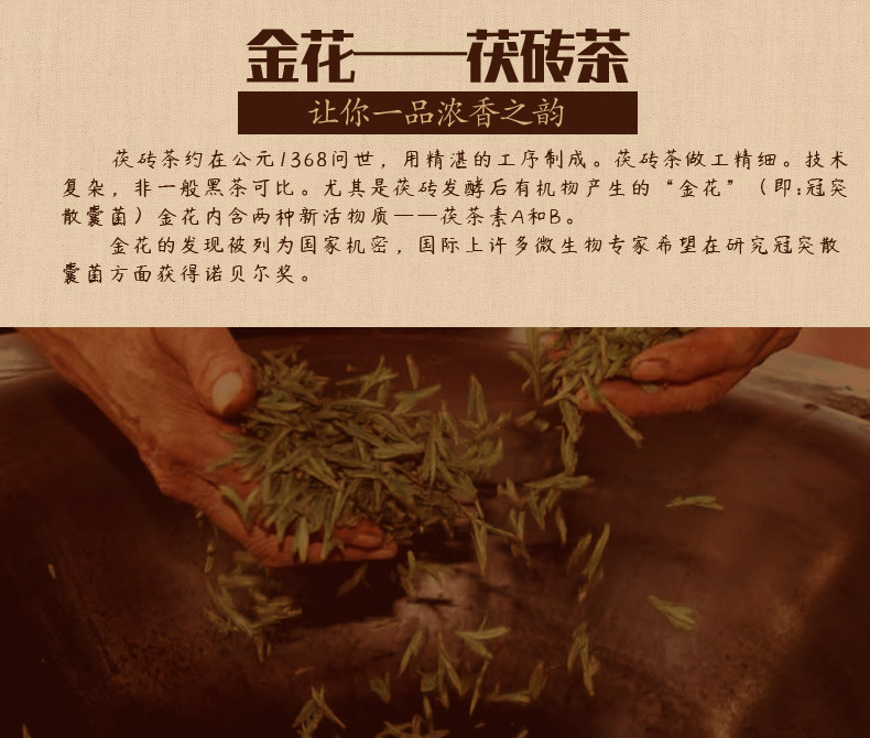 一天一叶 3年原料梵净山黑茶 金花茯砖茶 共900g 图2