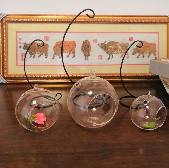 Treo thủy tinh chèn bình thủy tinh Micro cảnh cây mọng nước treo chai Cây củ cải thủy canh - Vase / Bồn hoa & Kệ chậu trồng cây hình chữ nhật