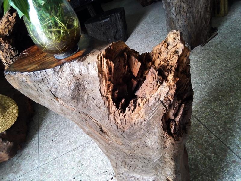Rễ gỗ chạm khắc vàng tự nhiên nanmu hoa lớn đứng gốc cây gỗ trang trí trong nhà trang sức thủ công độc đáo - Các món ăn khao khát gốc bàn bộ bàn ghế gốc cây giá rẻ