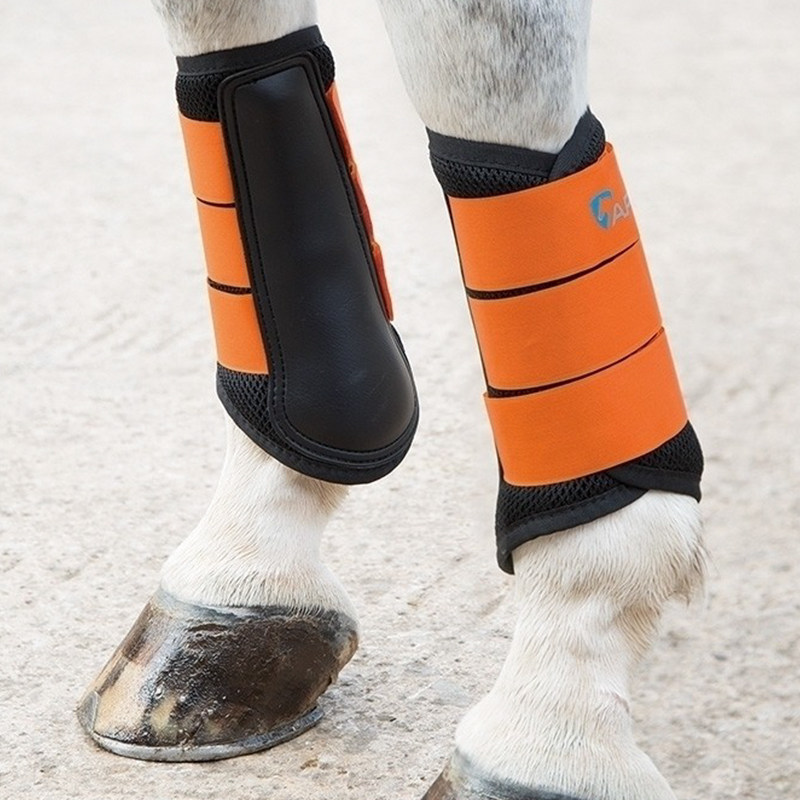 Shires (UK) ARMA All-Around Horse Leggings Rocky Harness 8219042
