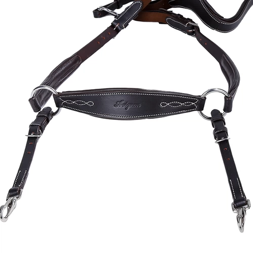 shires Мальчики склонились к лошади, лошадь оснащена Rock Horse 8214026