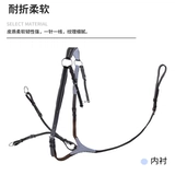 shires Мальчики склонились к лошади, лошадь оснащена Rock Horse 8214026