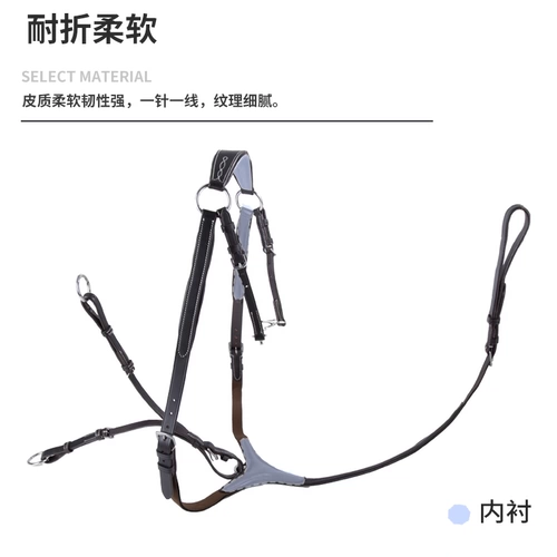 shires Мальчики склонились к лошади, лошадь оснащена Rock Horse 8214026
