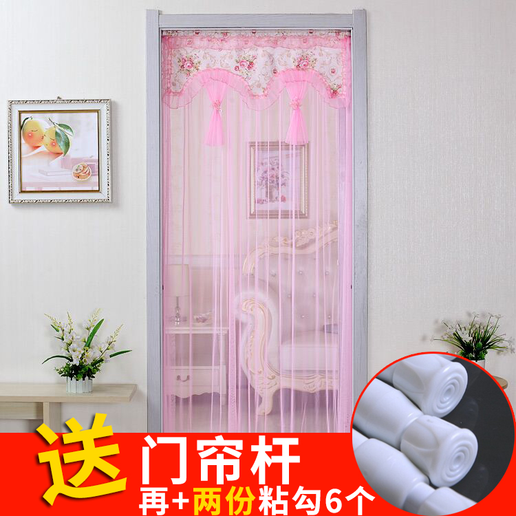 Summer Door Curtain Lace Mosquito-Proof Fly-Proof Common Bedroom Air Conditioning Partition Fabric Curtain Kitchen Living-room Semi-Curtain Transparent Decoration