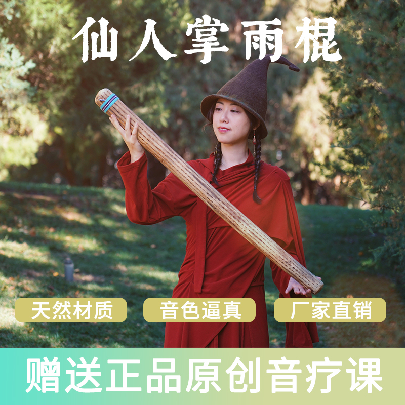 Cactus Rain Stick, Rain Wand, South American Chilean Wave Rain Sounder, Yoga Meditation Sound Therapy Instrument, Rain Sound Tube