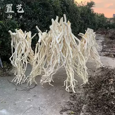 Dry branches decorative peeled branches natural trunk shape wall hanging log branches art dry branches Zen branches