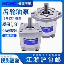 HCHC Hefei Long Source gear pump CBW-F304 F306 F310 F316 assembly small hydraulic oil pump