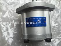 Hefei Changyuan gear oil pump CBW-F310-ALP Hydraulic gear oil pump CBW-F306-ALP