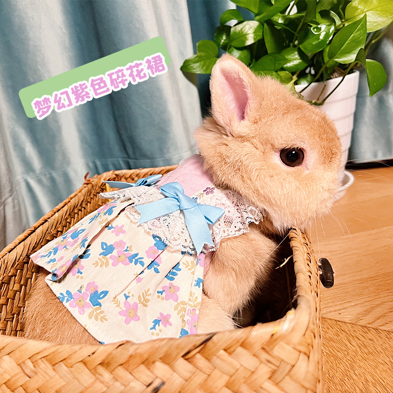 Fields Garden Windbreaks Flowers Skirt Rabbit Clothes Crummy Dresses Pet Rabbit Dwarf Rabbit Feline Rabbit Coeared Rabbit Traction Rope