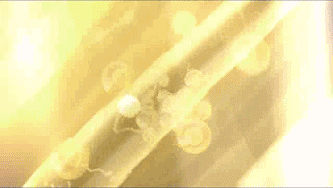 DM_20260617101950_014.gif