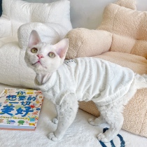 图图德文猫衣服无毛猫衣服斯芬克斯猫衣服柔软毛巾底兔子压花