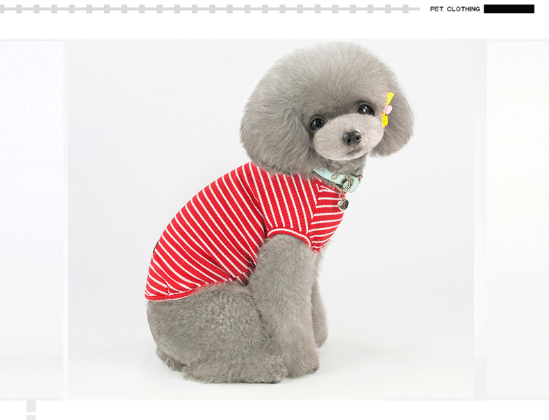 Áo sọc đáy áo vest chó con chó quần áo mùa xuân quần áo thú cưng Quần áo Teddy quần áo mùa xuân và mùa thu hơn quần áo gấu - Quần áo & phụ kiện thú cưng phu kien cho meo