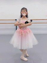 Clara Ballet Skirt Performance Clothing Childrens Professional Competition Clothing Girls Ballet Performance Skirt Pink Gradient Long Skirt