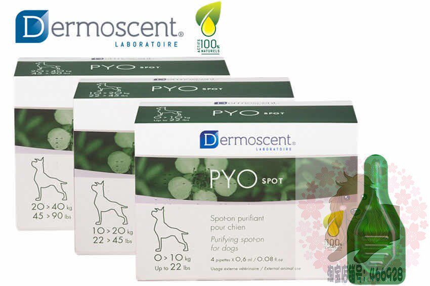 Spot Demes dermoscent Pai O point dog fungus pus skin beauty hair drops 10-20kg