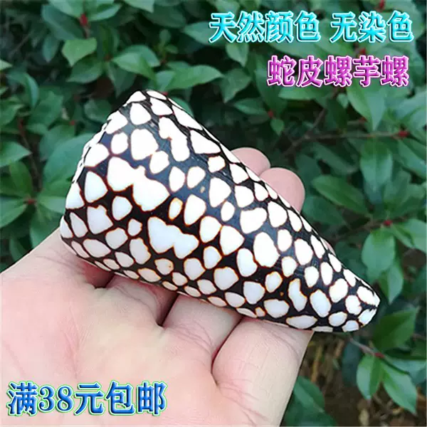 Товары от 黄金海滩贝壳工艺品批发