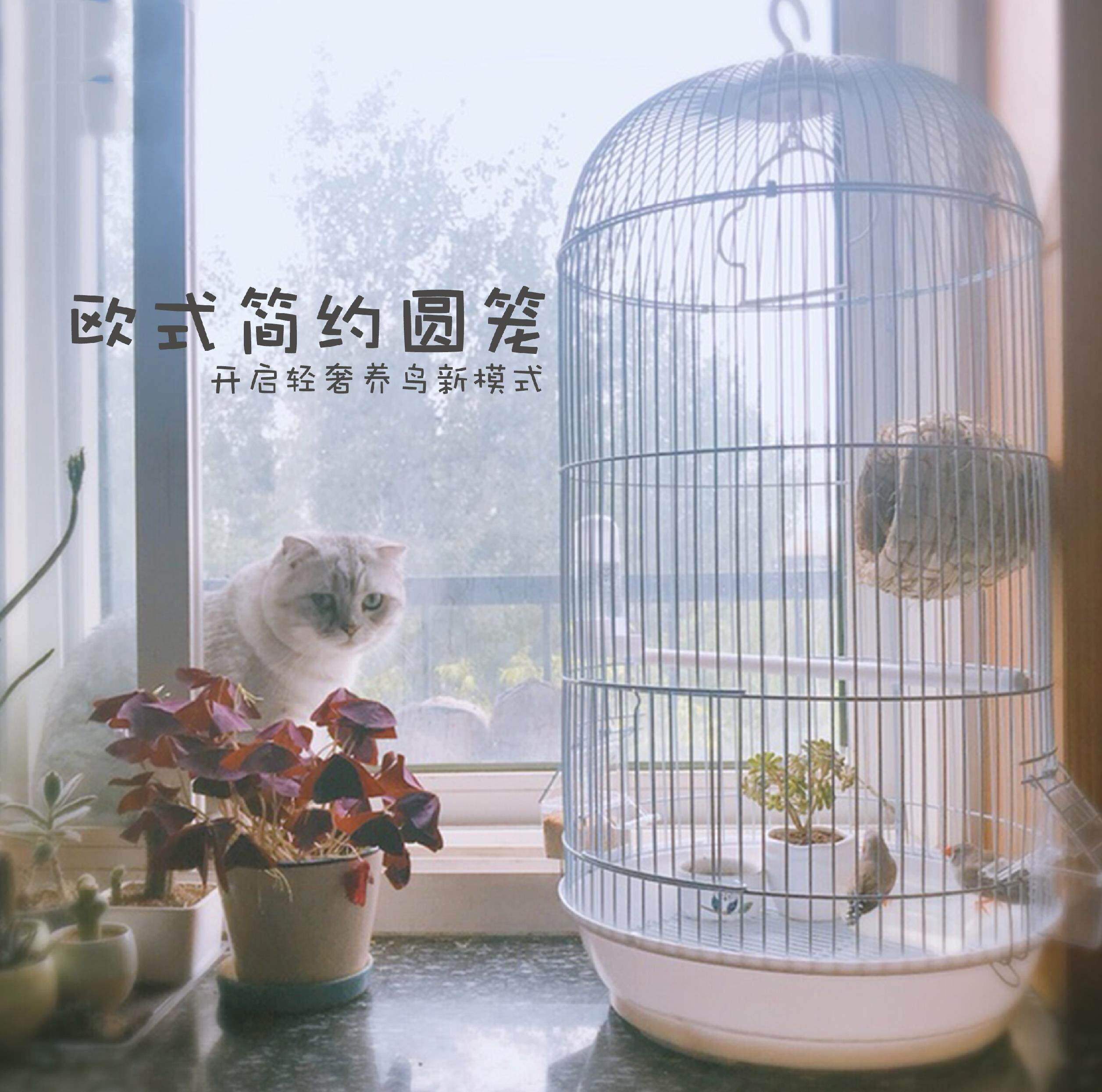 Large Breeding Cage Door Iron Wire Round Octag Cage Red Mouth Cameo Parrot Cage Hanging Extra-large Iron Bird Cage Bird Cage