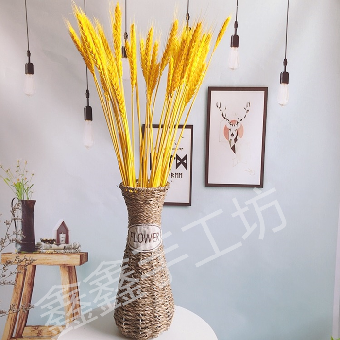 Retro Vase Fields Garden Wind Iron Art Vases Water Grass Weaving Craft Gifts Swing Accessories Flower Arrangement Props Dry Flower Vases Vines Chic Home
