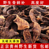 Authentic Drynaria wild ginger Guizhou Chinese herbal medicine Rock ginger climbing rock ginger monkey ginger cliff ginger hair fall fracture