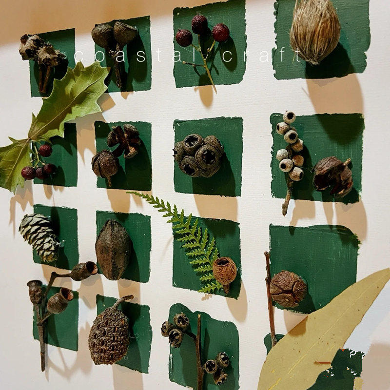 Kindergarten Ring-Wound Material Small Grid Classification Regional Plate Wall Decoration Hanging specimen dried fruit display frame touch wall