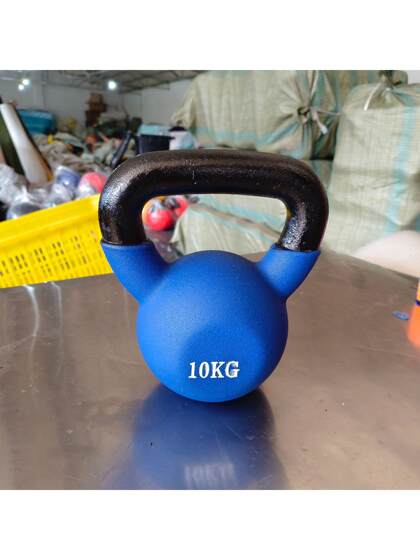 Solid Cast Iron Dipping Kettlebell with Colorful Handle, Dumbbell for Home Gym Arm and Back Training, Ballbell for Sit-Ups