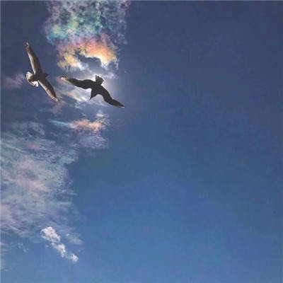 是泽中草药