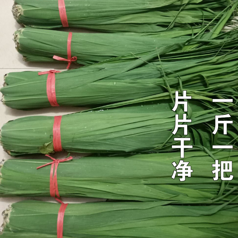 新鲜芦苇叶:让你的端午节更有仪式感,包出美味粽子!-粽叶-淘宝好物网