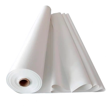 PVDF PTFE architectural membrane design processing and installation nationwide customized installation