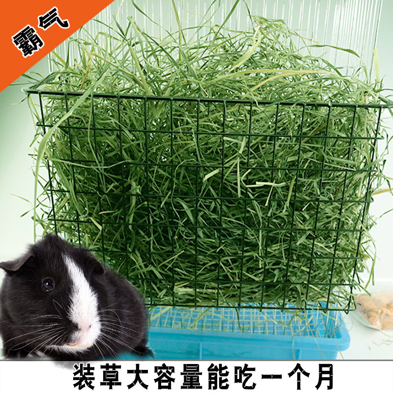 Whirlmont Rabbit Large Size Grass Shelf Inside and outside Large-capacity Net Red Iron Grass Shelf Dragon Cat Dutch Pig Grass Frame Basket