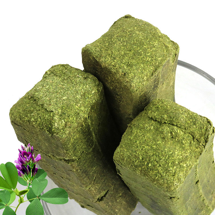 Rabbit molar rabbit guinea pig chinchilla Timothy grass brick alfalfa grass block fruit tree molar grass brick oat brick 500g