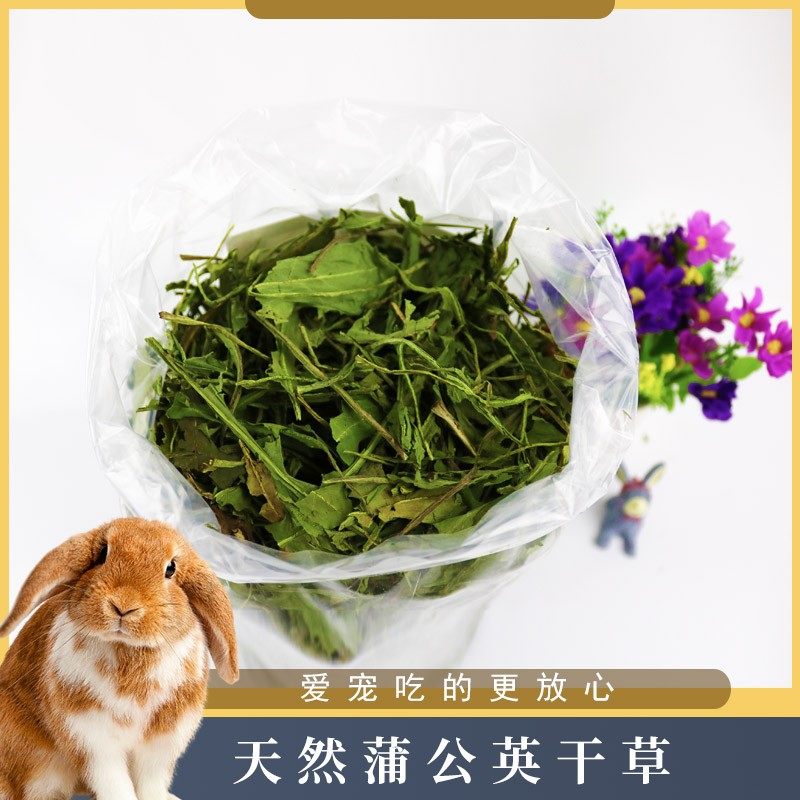 Special grade drying dandelion dried grass 250g Rabbit grass grain dragon cat grain grass Dutch pig feed
