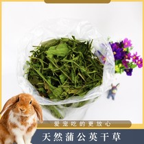Special grade drying dandelion dried grass 250g Rabbit grass grain dragon cat grain grass Dutch pig feed