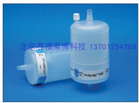 Whatman Polycap GW 6714-6004 6724-6004地下水采样囊式过滤器