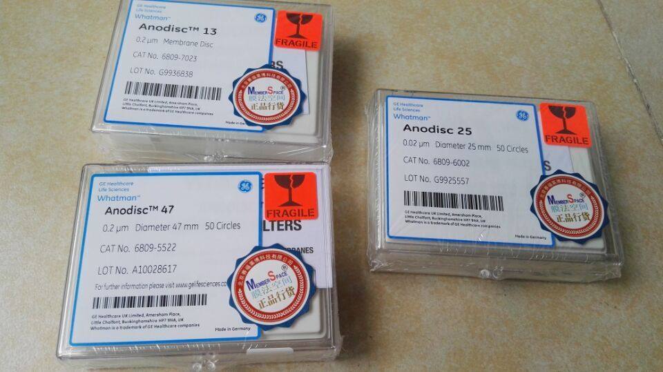 Whatman AAO无机氧化铝膜 6809-6022 25mm 0.2um 0.1um 0.02um
