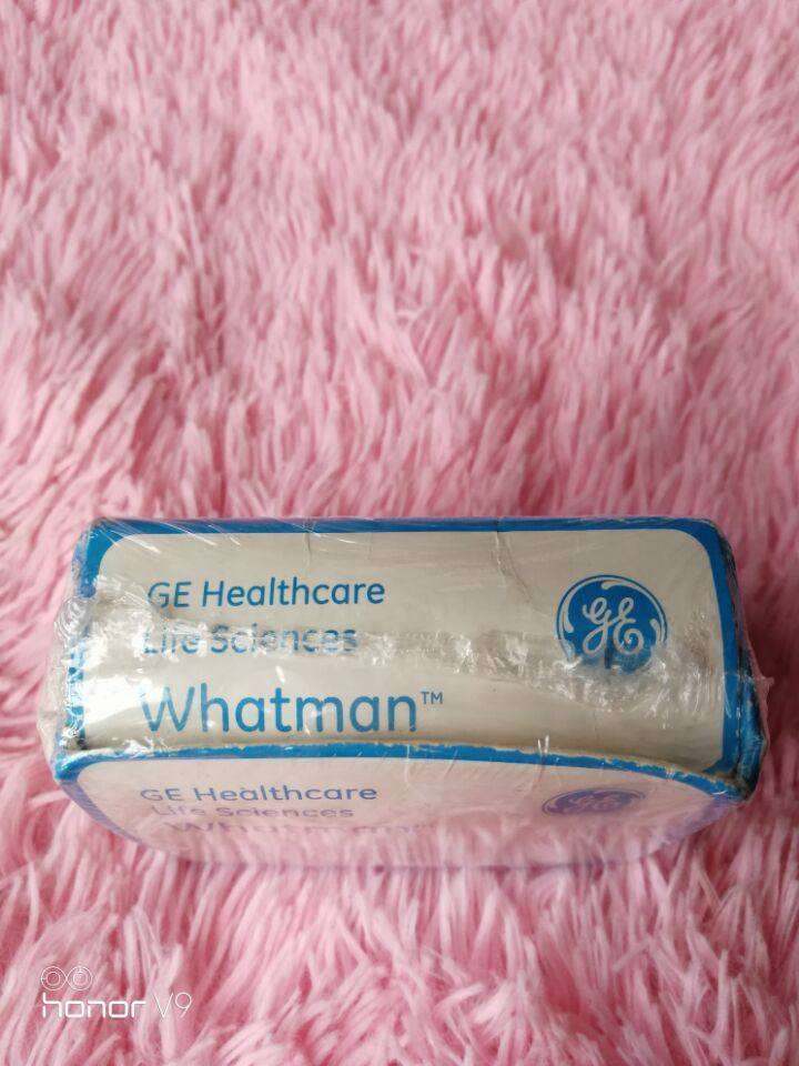 GE Whatman 609号凯式定氮称量船货号10313032  55&times;10&times;10mm