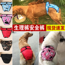 Pet Pooch Physiologie Pants Femme Chien Moonage Menstrual Sous-vêtements Mother Gold Hairy Large Dog Summer Thin Sanitary Pants Aunt Wipes