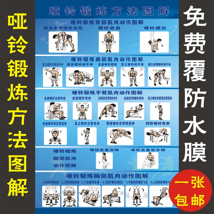 Muscle Fitness Poster Exhibition Board Propaganda Painting Wall Chart < Dumbbells Exercise Method Diagrams > Write a true poster wall sticker