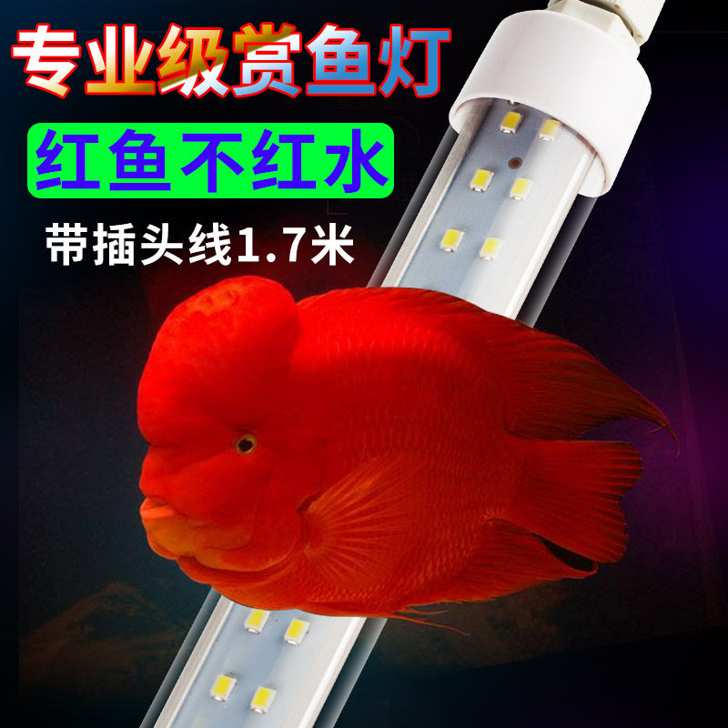 Fishing den with 1 7 metre line T8LED fish tank light parrot Luo Hanjin carp Red fish without red water tricolour water group lamp