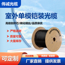 National standard armored leather optical cable outdoor optical fiber cable 4 6 8 12 core 6 0 single mode outdoor center riser optical cable
